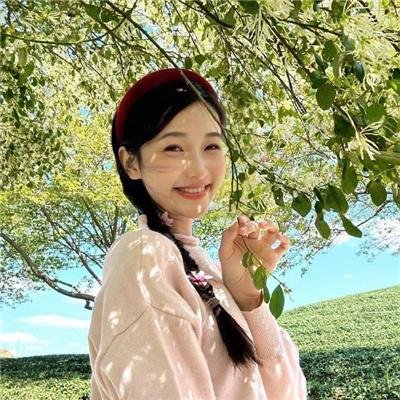 冒牌搭档 在线观看