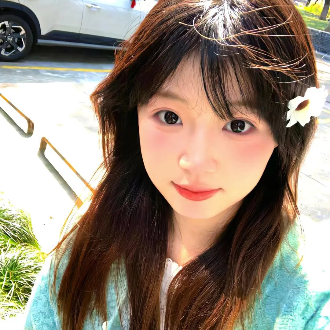 歌舞仙姬 在线观看