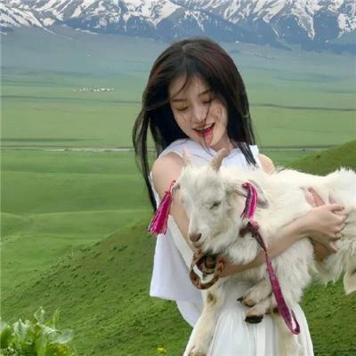 阿亚潘和柯西 在线观看